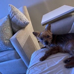 Meet your Posher, Brian